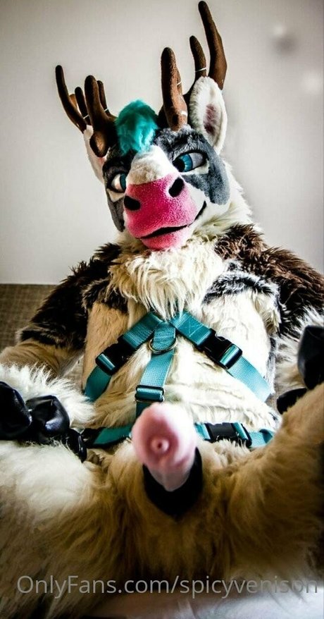 spicyvenison onlyfans