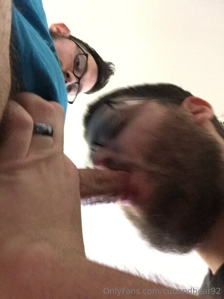 cubandbear92 onlyfans archive