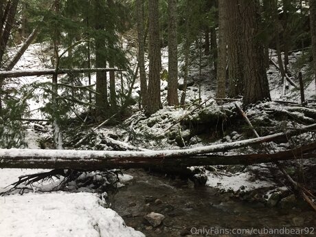 cubandbear92 onlyfans porn leaked