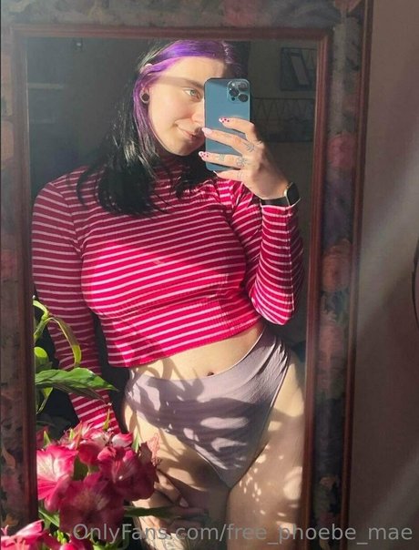 free phoebe mae on onlyfans