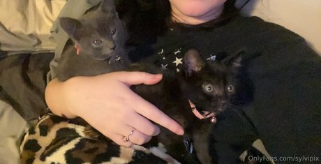 sylvipix onlyfans leaks porn