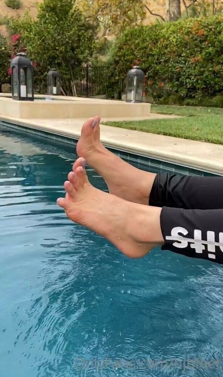 Sher Arar free onlyfans