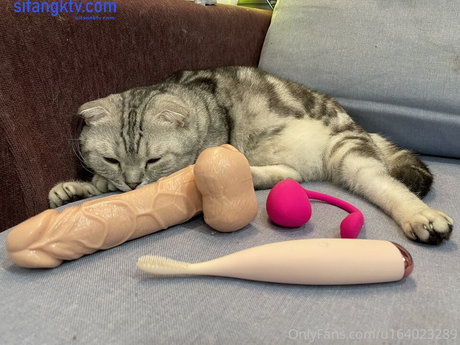 bella 420tw onlyfans sex leaks