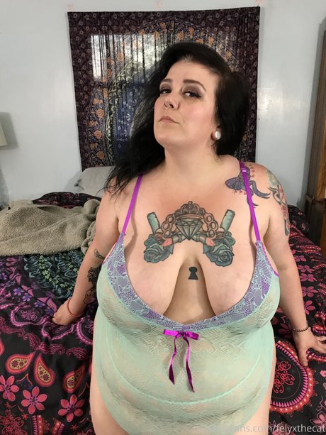 Felyx the Cat nude on onlyfans