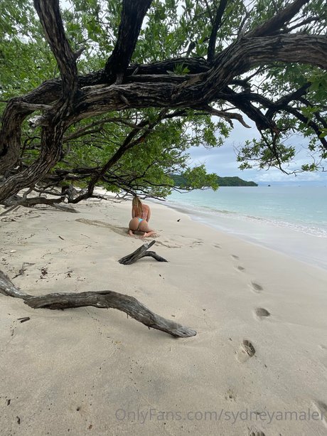 Sydney Maler nude porn onlyfans