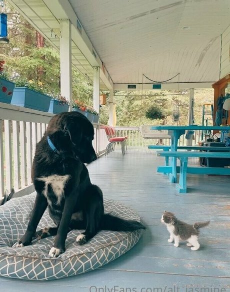 alt jasmine onlyfans porn free