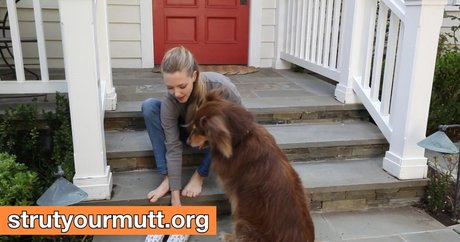 Amanda Seyfried nude leak onlyfans