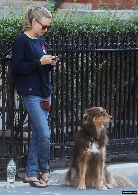 Amanda Seyfried onlyfans creator