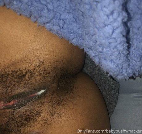 Baby Bush Whacker nude onlyfans