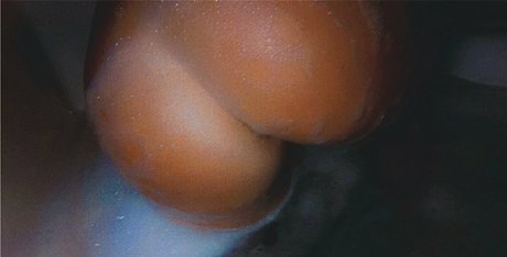 natttyb naked leaked onlyfans