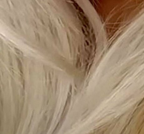 Shona Colson onlyfans topless