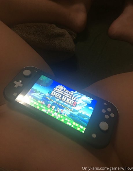 gamerwillow onlyfans naked porn