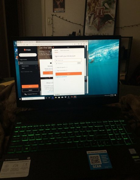 gamerwillow xxx onlyfans