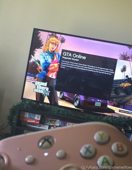 gamerwillow fans only