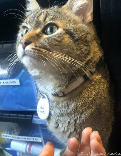 loracr0ss xxx onlyfans