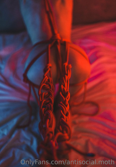 antisocial moth xxx onlyfans