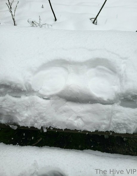 thehivevip naked on onlyfans