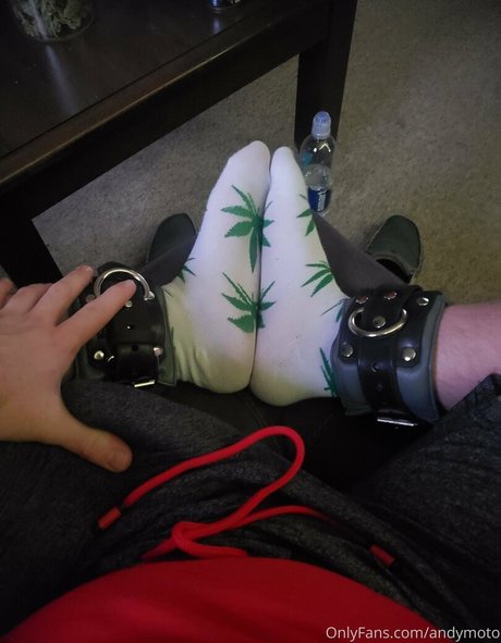 andymoto Profile pic