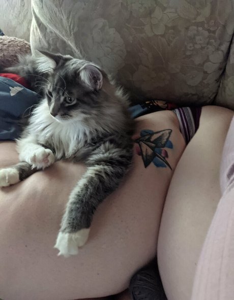 belthaneb boobs onlyfans