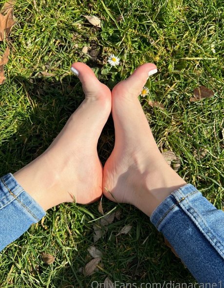 Dianacane1 onlyfans leaks nudes