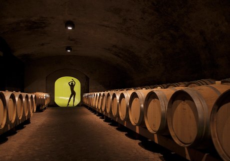 Miriam Schwarz Profile pic