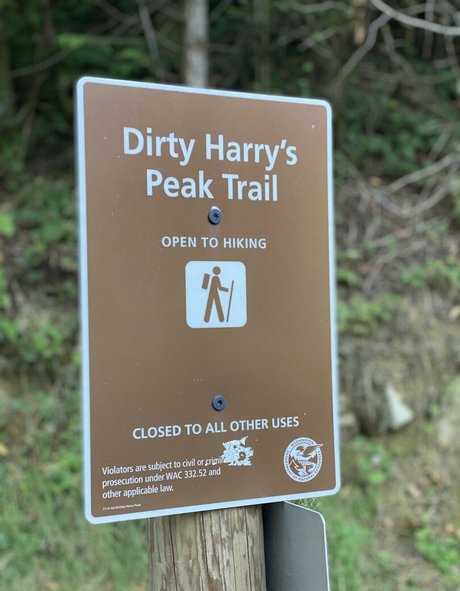 ms adventure onlyfans leaks naked