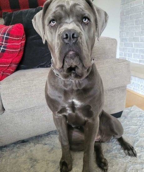 Miss Jee Yung hot onlyfans