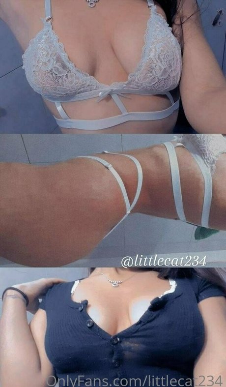 littlecat234 leaked naked onlyfans