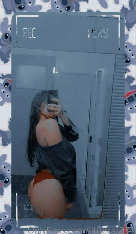littlecat234 sex onlyfans