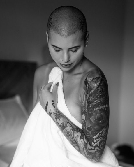 steves end onlyfans leak xxx