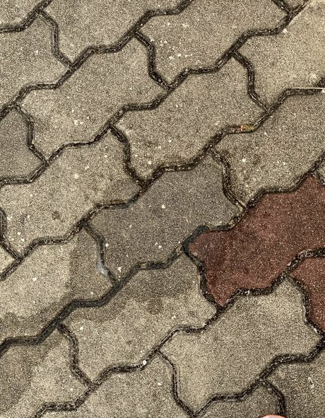 futanari fc2 onlyfans leaj