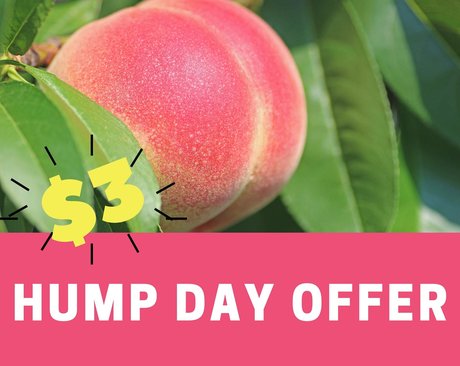 scarlettmrose onlyfans leak free