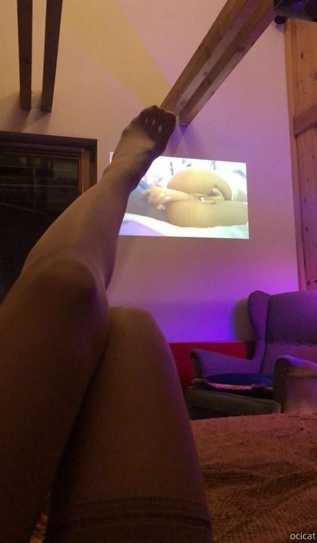 Ocicat onlyfans free porn