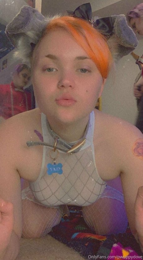 pwuppydove onlyfans leakd