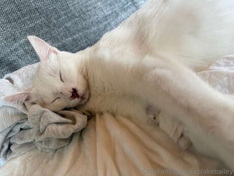 XxBlakeBailey onlyfans nude