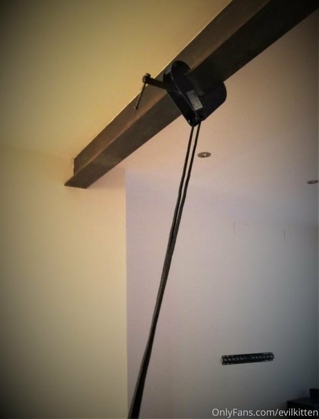 evilkitten free onlyfans