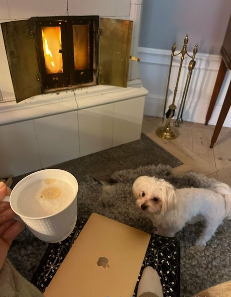 wilda se onlyfans hot