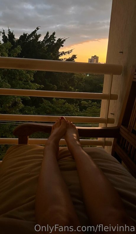 fleivinha Profile pic