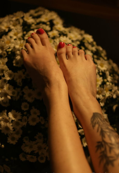 fleivinha onlyfans leak sex