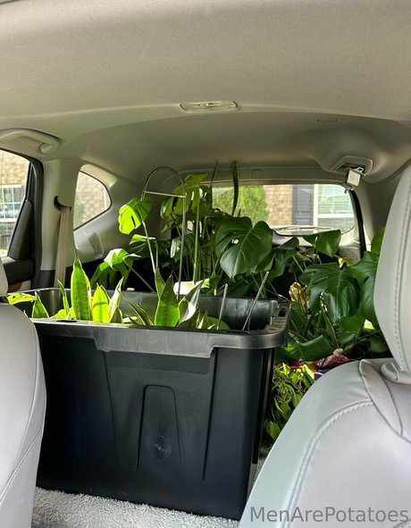 menarepotatoes onlyfans free