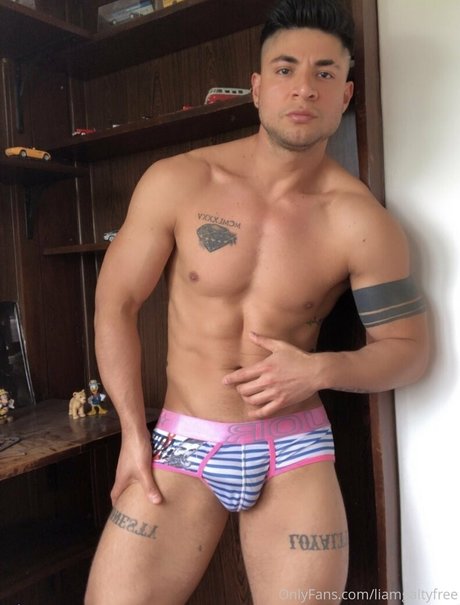 liamgaltyfree onlyfans naked