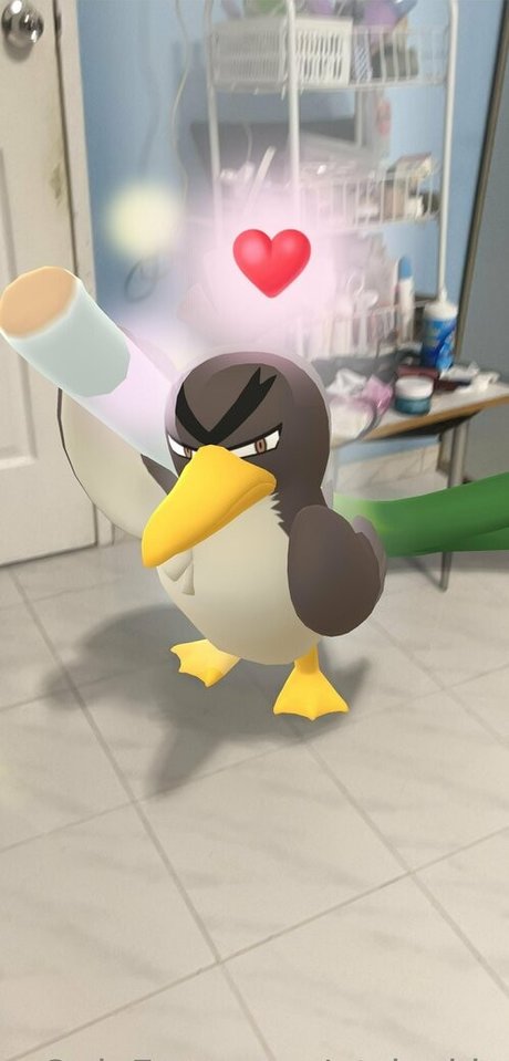 qt jackie only fans review