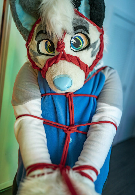 ad dragonwolf porn onlyfans