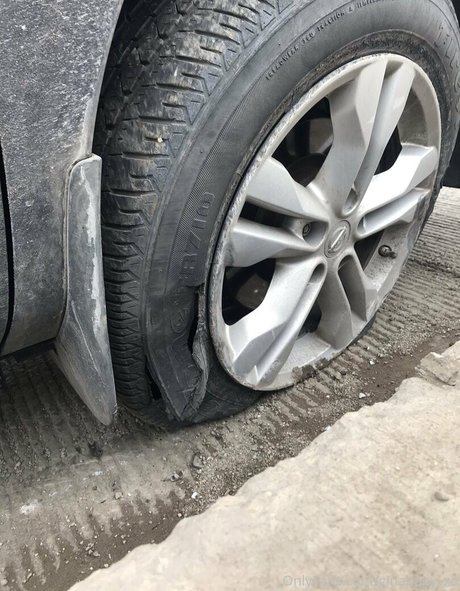 ginababy xo only fans pics