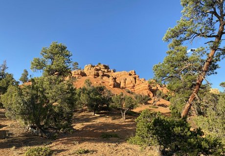 emmawerewuff is on onlyfans