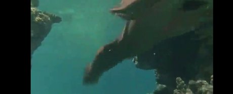 Phoebe Cates naked onlyfans leak