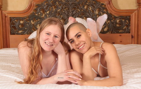 fancie only fans free