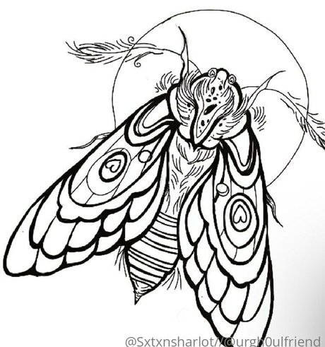 sxtxnsharlot onlyfans creator