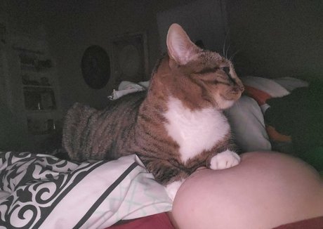 harlowbbw leak onlyfans porn