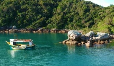 biabrasil desnuda onlyfans